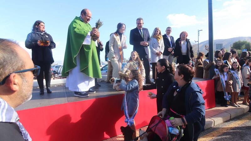 Cientos de vecinos acuden a la Ermita de Sanz para conmemorar la festividad de Sant Antoni