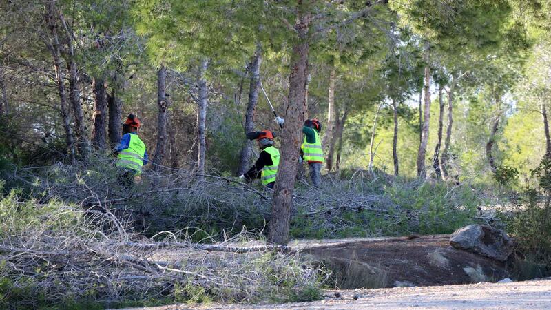 Benidorm inicia les actuacions de prevenció contra incendis al parc del Moralet