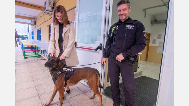 La Unitat K9 de la Policia Local visita a partir de hui tots els col·legis de Benidorm