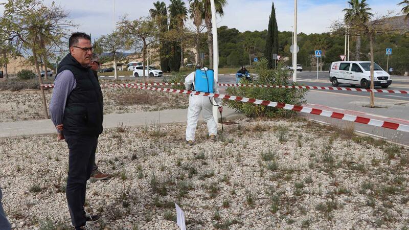 Benidorm prueba un novedoso sistema natural para combatir las malas hierbas en parques, jardines y vías públicas