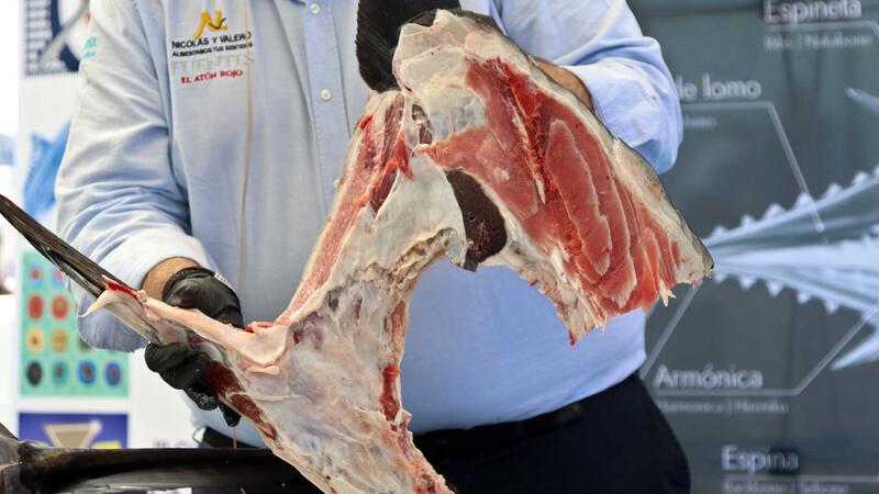 El ronqueo de un ejemplar de 270 kilos marca el inicio de las ‘IV Jornadas del Atún’, la segunda etapa del Benidorm Gastronómico 2024 