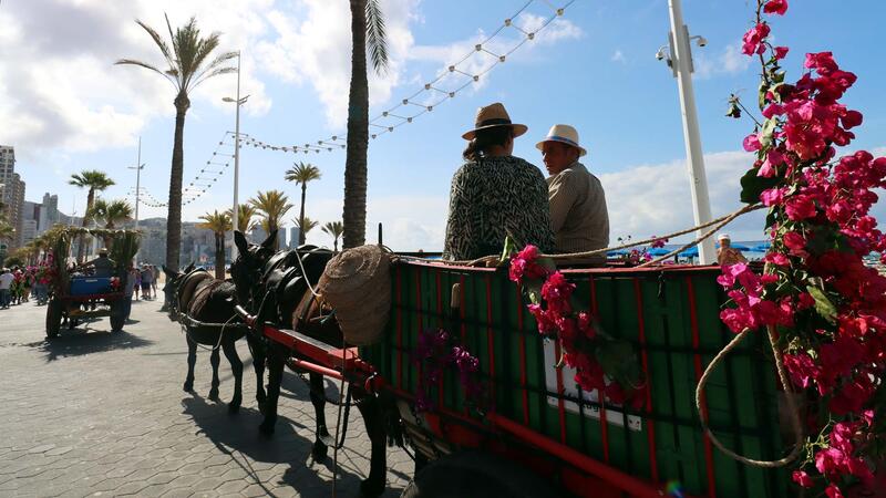 Benidorm festeja la seua tradició agrícola en la Romeria de Sant Isidre fins a l