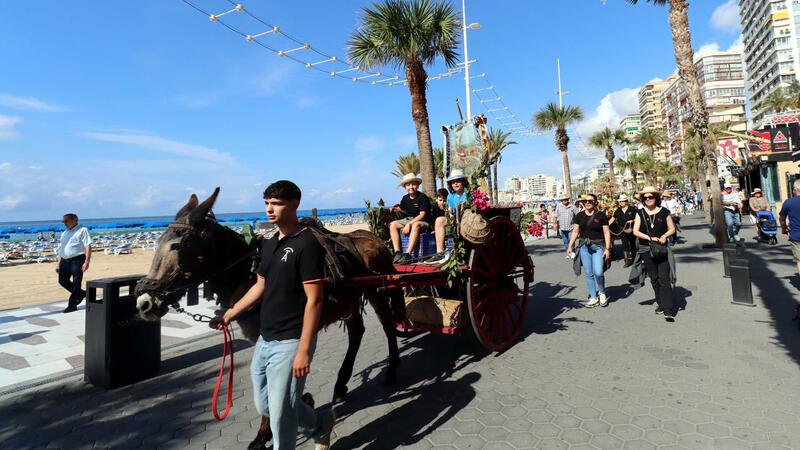 Benidorm festeja la seua tradició agrícola en la Romeria de Sant Isidre fins a l