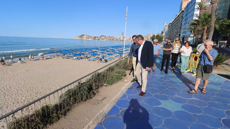 Benidorm invertirá 48.000 euros en la renovación de la jardinería del Paseo de Poniente 