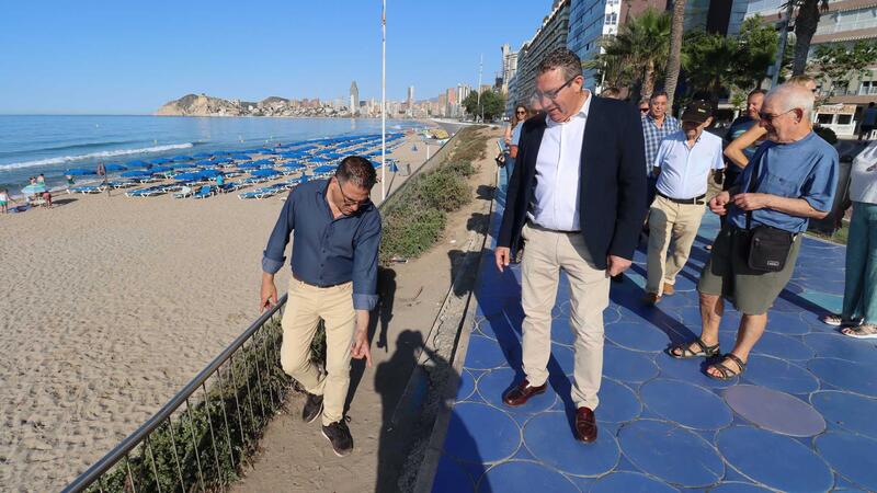 Benidorm invertirá 48.000 euros en la renovación de la jardinería del Paseo de Poniente 