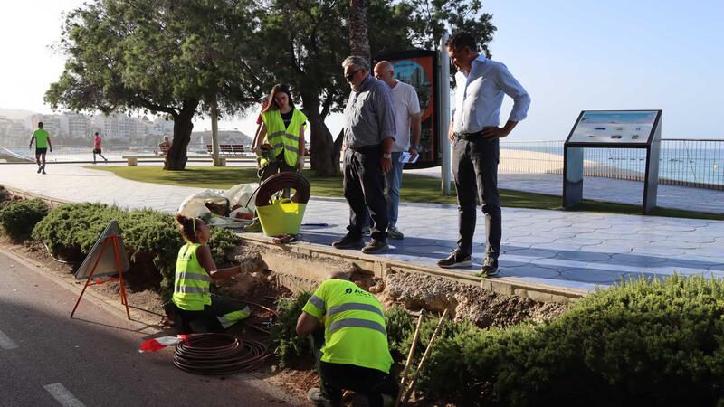 Benidorm lanza una campaña para proteger las plantas con motivo del inicio de la renovación de la jardinería en Poniente