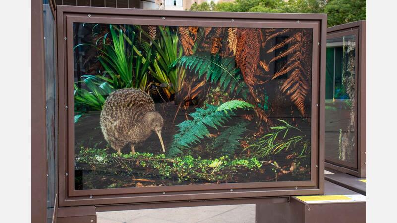 Benidorm exhibits