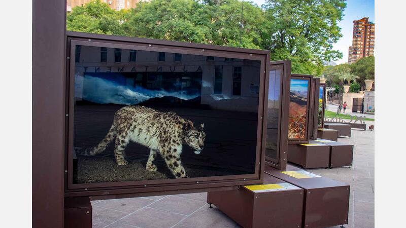 Benidorm exhibits