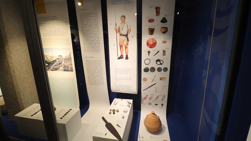 Benidorm celebrates Archaeology Day with the opening of a room in Boca del Calvari Museum with the name of Luis Duart i Alabarta