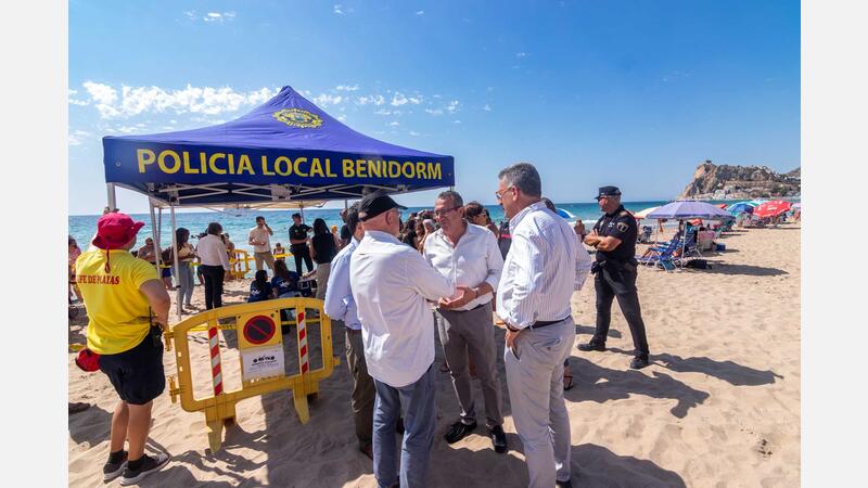 A loggerhead turtle lays eggs on Poniente beach in Benidorm