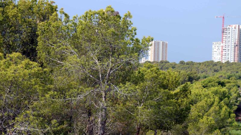 Benidorm dispondrá de una red municipal contraincendios forestales de agua depurada