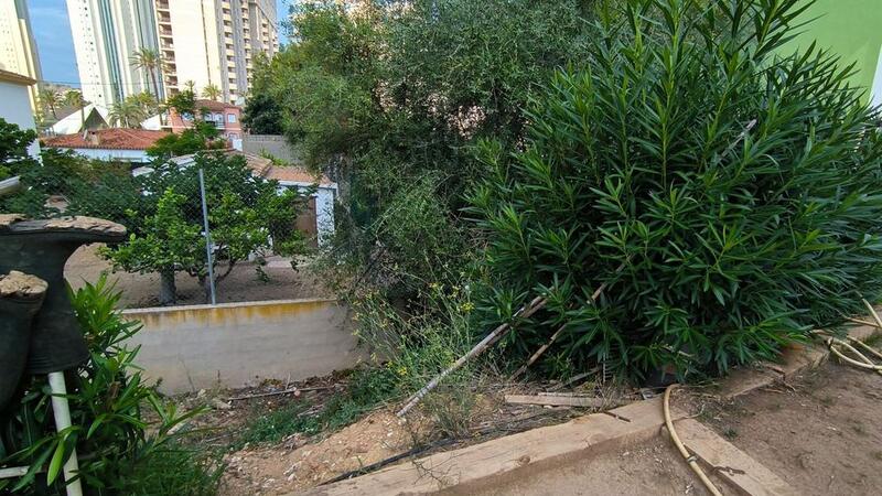 El PSOE reclama acondicionar los huertos urbanos de La Cala
