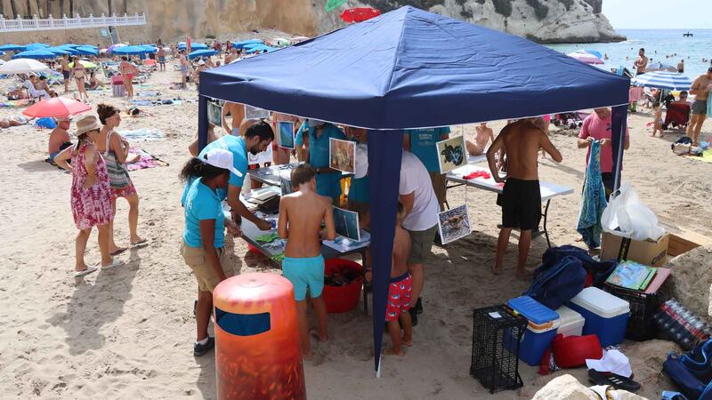 La jornada de limpieza de fondos marinos en Mal Pas constata el buen estado de las playas de Benidorm