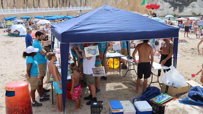 La jornada de limpieza de fondos marinos en Mal Pas constata el buen estado de las playas de Benidorm
