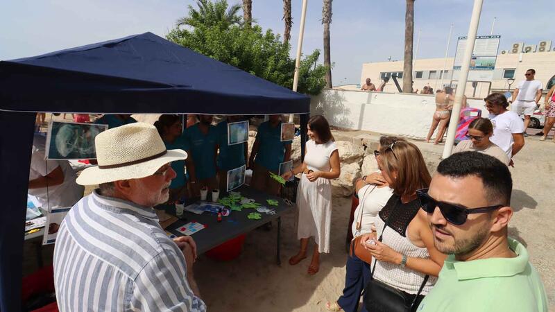 La jornada de limpieza de fondos marinos en Mal Pas constata el buen estado de las playas de Benidorm