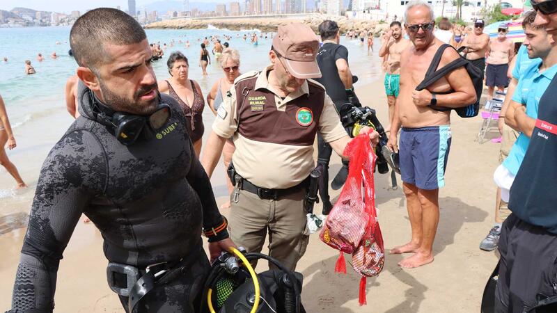 La jornada de limpieza de fondos marinos en Mal Pas constata el buen estado de las playas de Benidorm
