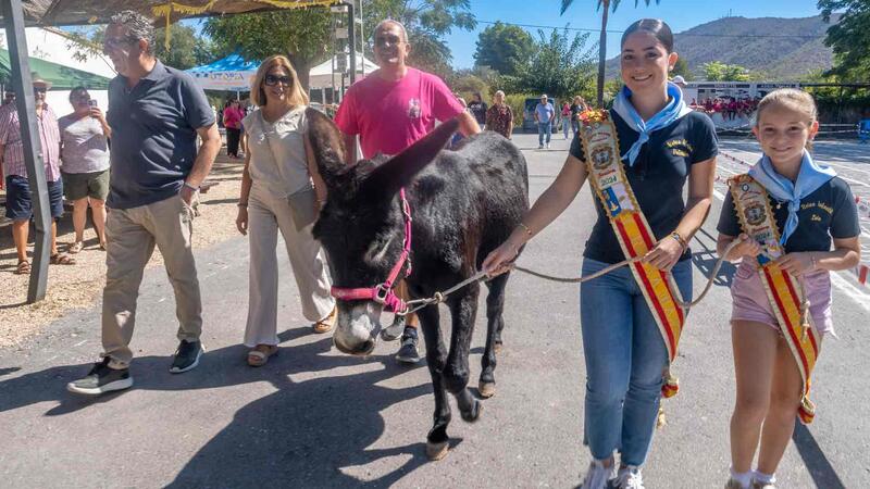Escatología y fiesta se dan la mano en la Ermita de Sanç de Benidorm en ‘La cagà de la burra’