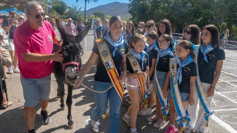 Escatología y fiesta se dan la mano en la Ermita de Sanç de Benidorm en ‘La cagà de la burra’