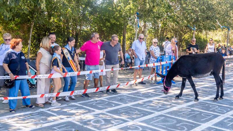 Escatología y fiesta se dan la mano en la Ermita de Sanç de Benidorm en ‘La cagà de la burra’