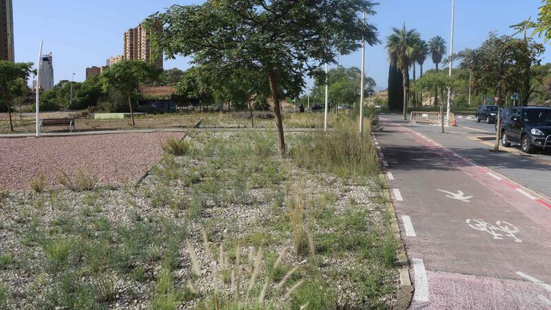 Benidorm estrenará antes de final de año el primer circuito infantil de ‘pumptrack’
