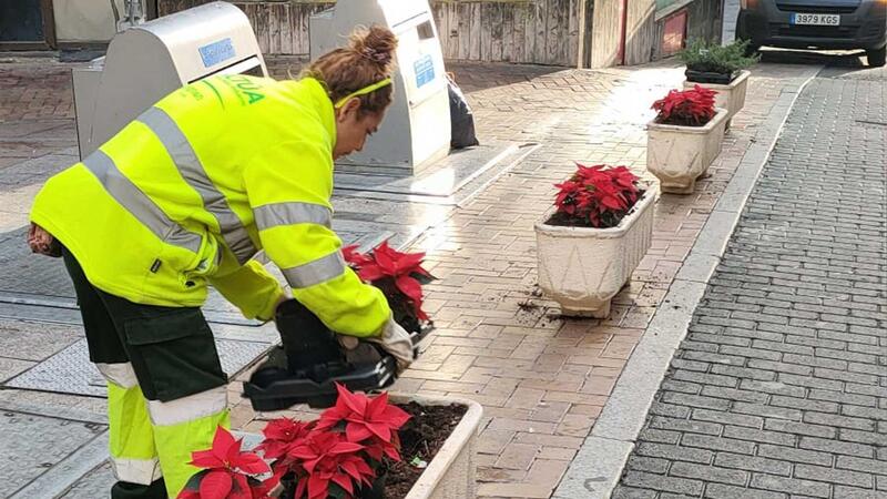 Benidorm decora las calles de la ciudad con la colocación de cerca de 10.000 plantas ornamentales