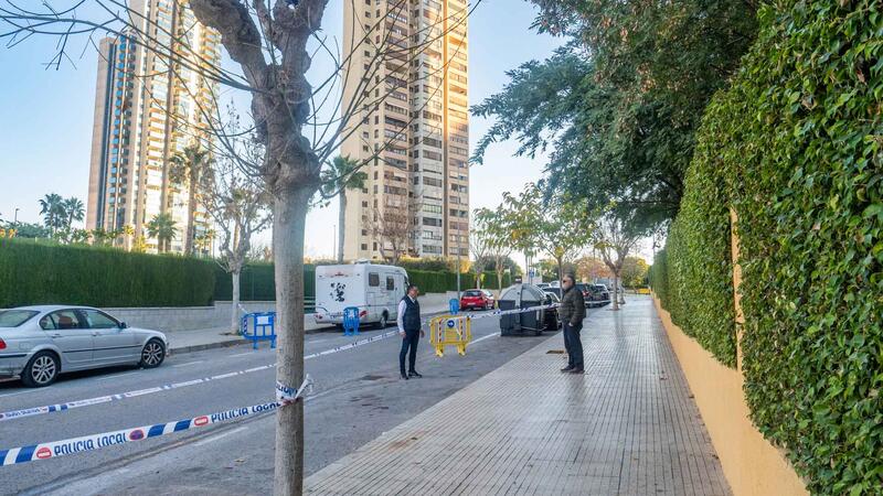 Benidorm sustituirá 250 árboles dañados en Els Tolls y el Rincón de Loix