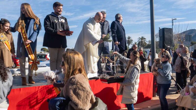 La bendición de los animales protagoniza el día grande de la Festa de Sant Antoni en Benidorm