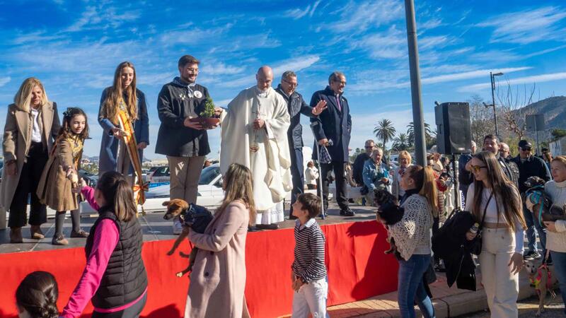 La bendición de los animales protagoniza el día grande de la Festa de Sant Antoni en Benidorm