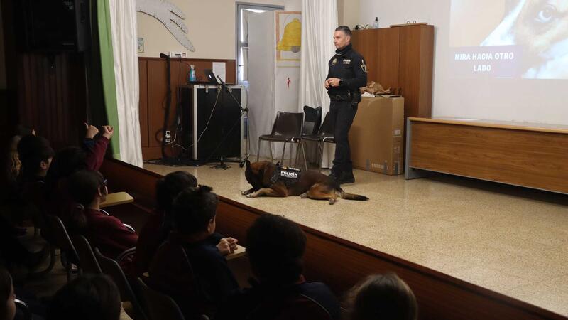 La Unidad K9 de la Policía Local vuelve a visitar desde hoy todos los colegios de Benidorm