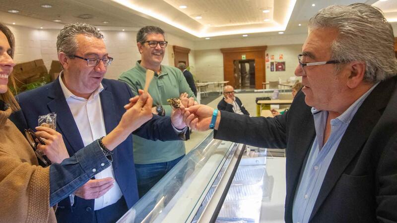 Els millors gelaters del món es donen cita a Benidorm