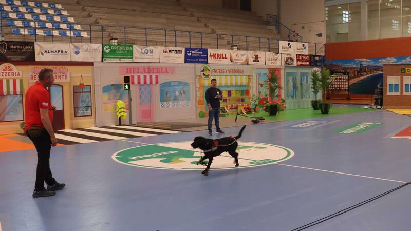 El Palau acoge una exhibición de perros guía de la ONCE para sensibilizar a los escolares sobre la accesibilidad de las personas ciegas