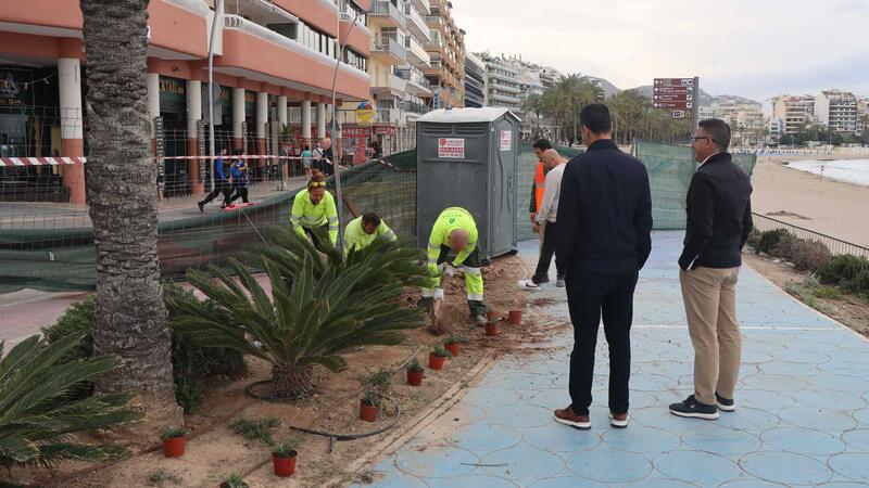 Benidorm finaliza las obras de renovación de infraestructuras hidráulicas y mejora de la escena urbana en Montecarlo y Armada Española 