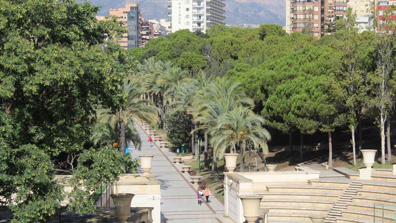 El pleno de Benidorm aprobará el lunes licitar el nuevo contrato de parques y jardines