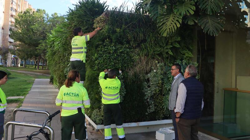Benidorm emplea ‘insectos útiles’ para controlar las plagas en el arbolado y jardines locales