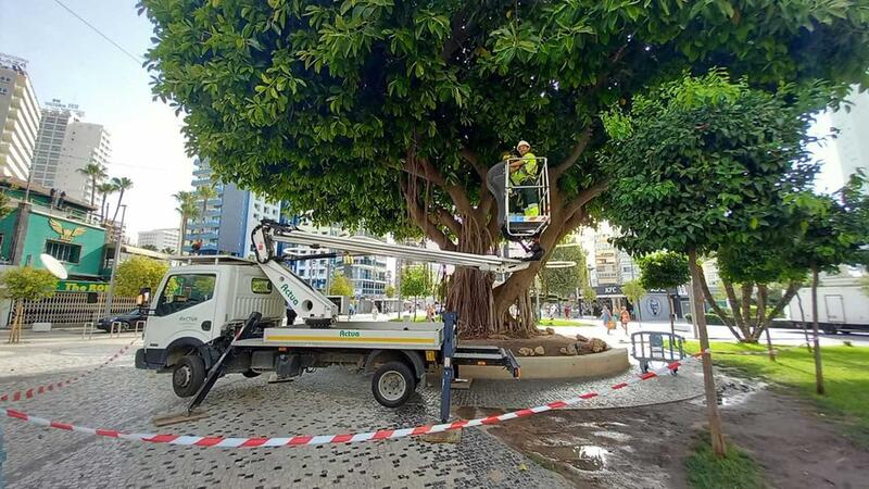 El pleno adjudicará el lunes el nuevo contrato de Parques y Jardines por cinco años