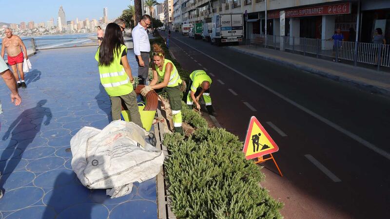 El pleno adjudicará el lunes el nuevo contrato de Parques y Jardines por cinco años