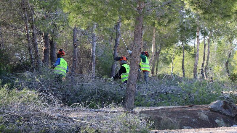 El pleno adjudicará el lunes el nuevo contrato de Parques y Jardines por cinco años