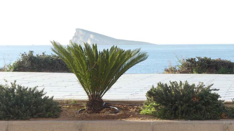 El pleno adjudicará el lunes el nuevo contrato de Parques y Jardines por cinco años