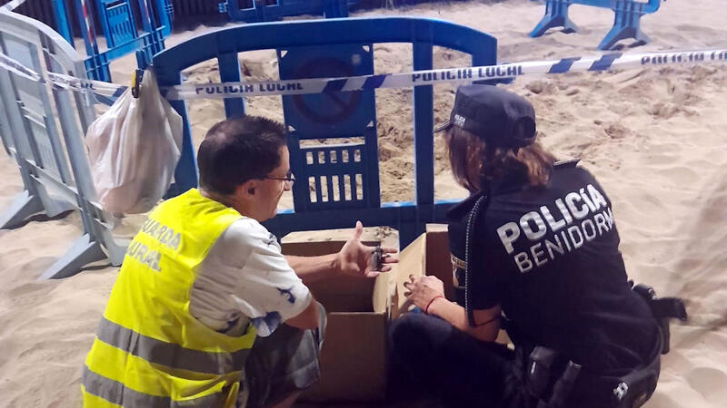Nacen varias decenas de ejemplares de tortuga boba en la playa de Levante de Benidorm
