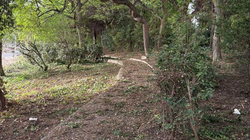 Benidorm is taking action on a forest plot in Murtal to protect the area from possible fires
