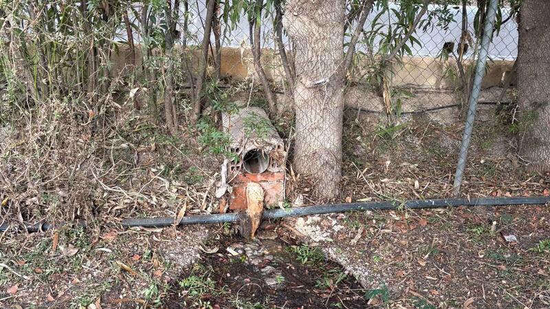 Benidorm is taking action on a forest plot in Murtal to protect the area from possible fires