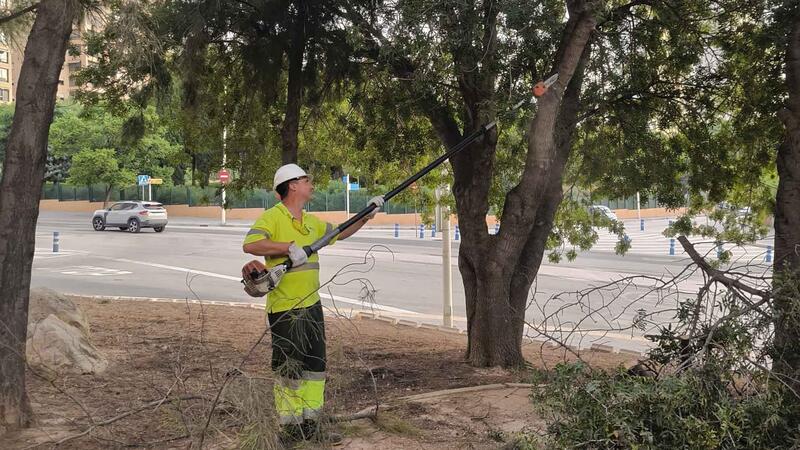 Benidorm is taking action on a forest plot in Murtal to protect the area from possible fires