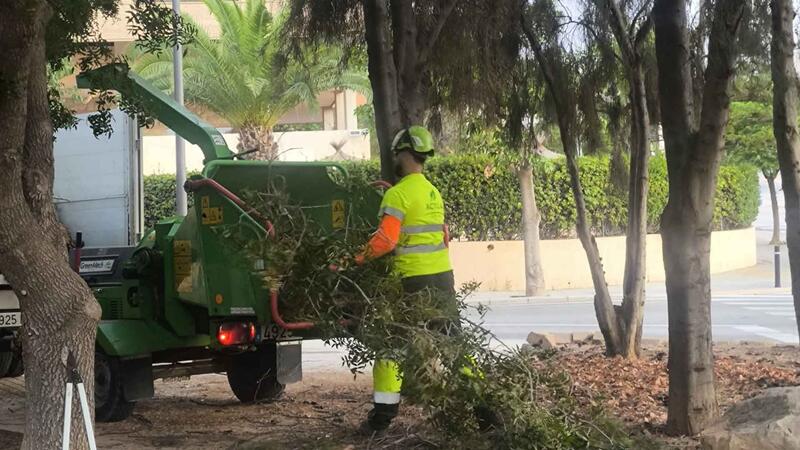 Benidorm is taking action on a forest plot in Murtal to protect the area from possible fires