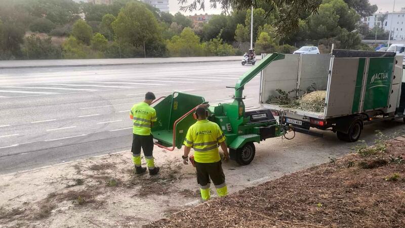 Benidorm is taking action on a forest plot in Murtal to protect the area from possible fires