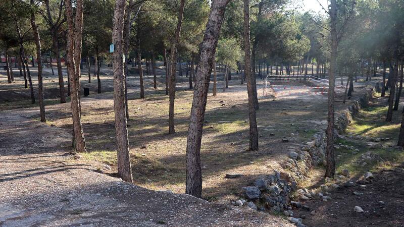 Benidorm inicia actuaciones de mejora en las zonas verdes y arbolado de la ciudad antes del nuevo contrato de parques y jardines