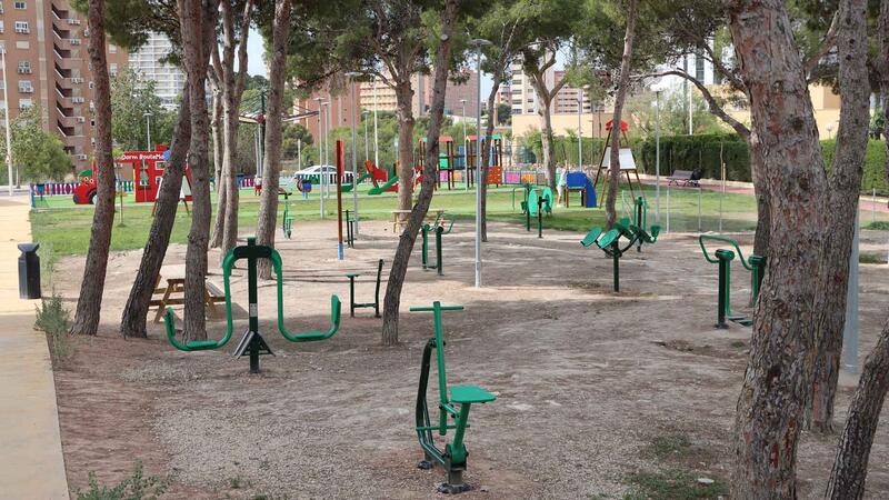 Benidorm inicia actuaciones de mejora en las zonas verdes y arbolado de la ciudad antes del nuevo contrato de parques y jardines