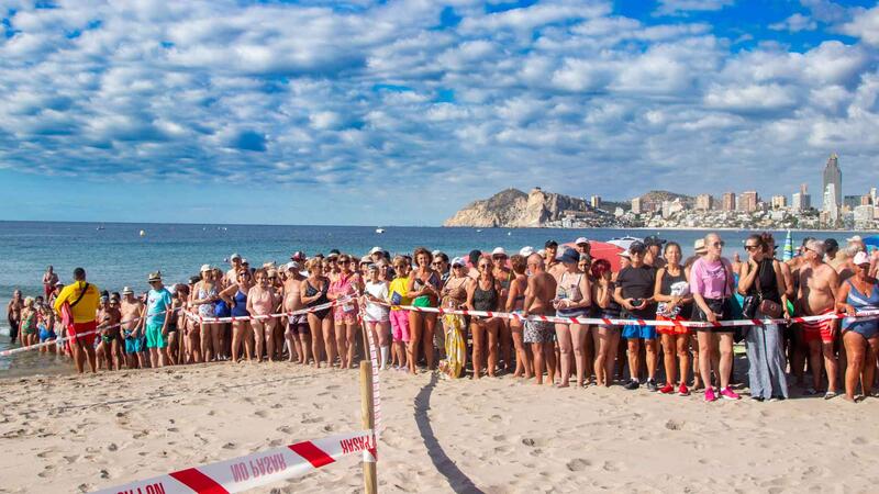 Benidorm devuelve al mar nueve ejemplares de tortuga boba que nacieron hace un año en la playa de Poniente 