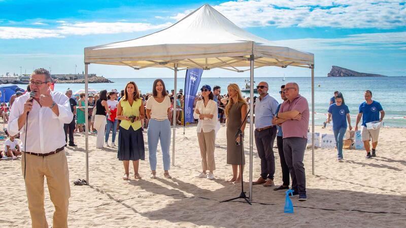 Benidorm devuelve al mar nueve ejemplares de tortuga boba que nacieron hace un año en la playa de Poniente 