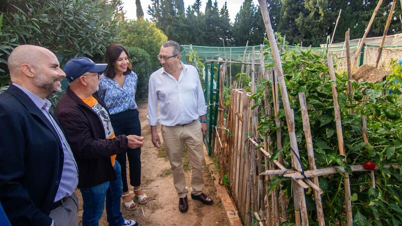 Benidorm delivers 48 new urban gardens in l