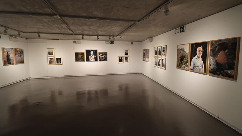 The exhibition 
